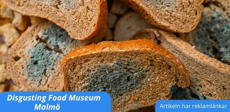 Disgusting Food Museum