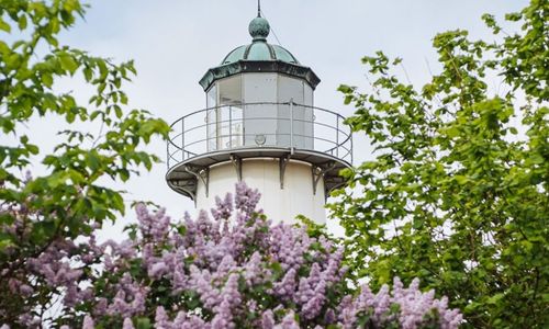 Smyghuk fyr STF vandrarhem